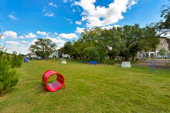 Expansive dog park